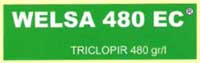 welsa